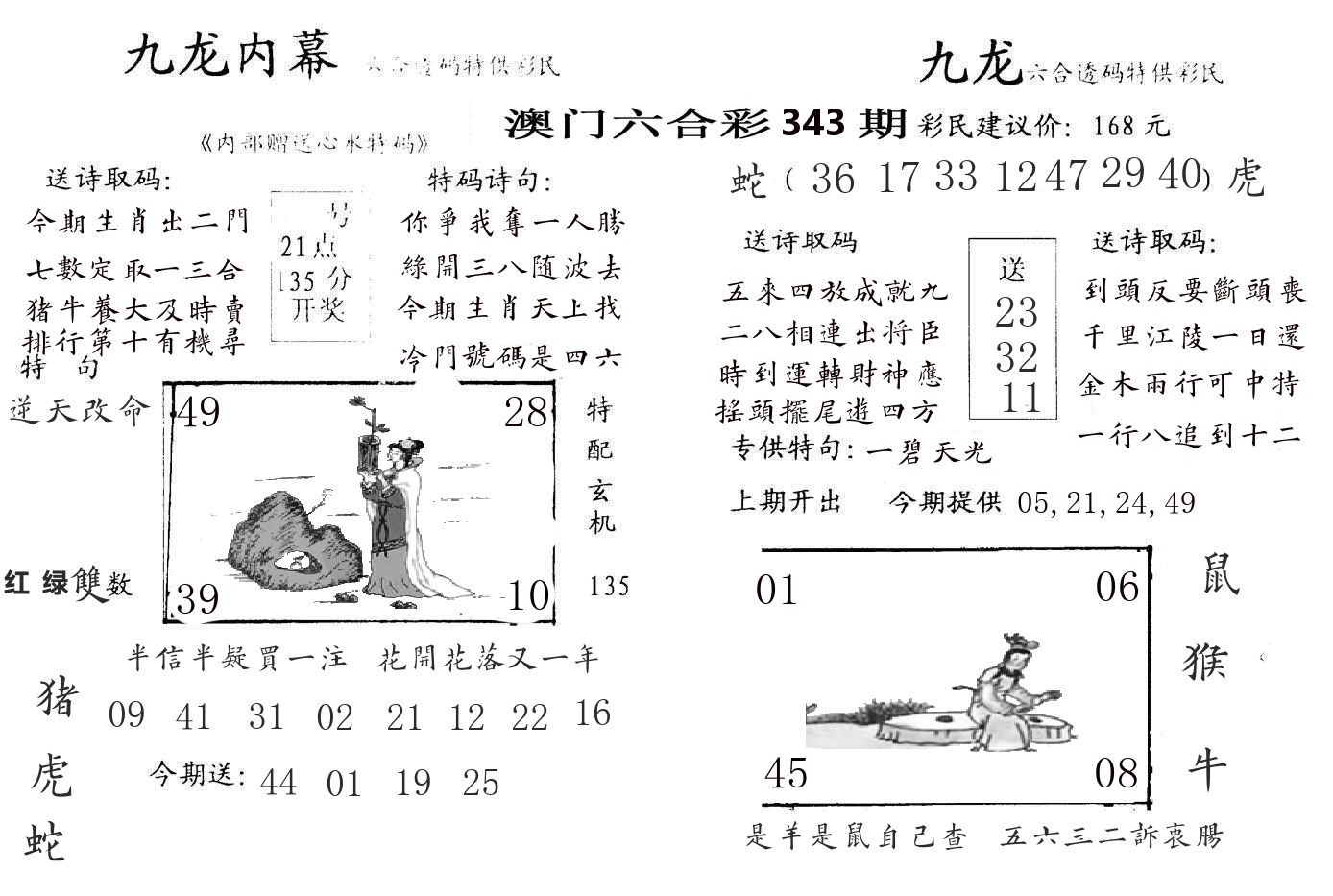 九龙内幕 第343期