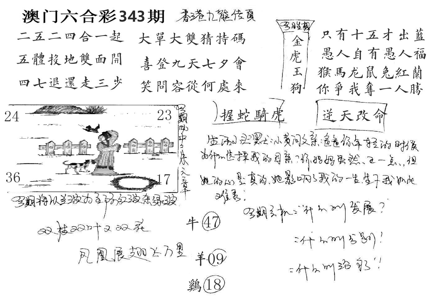 澳门手写九龙 第343期