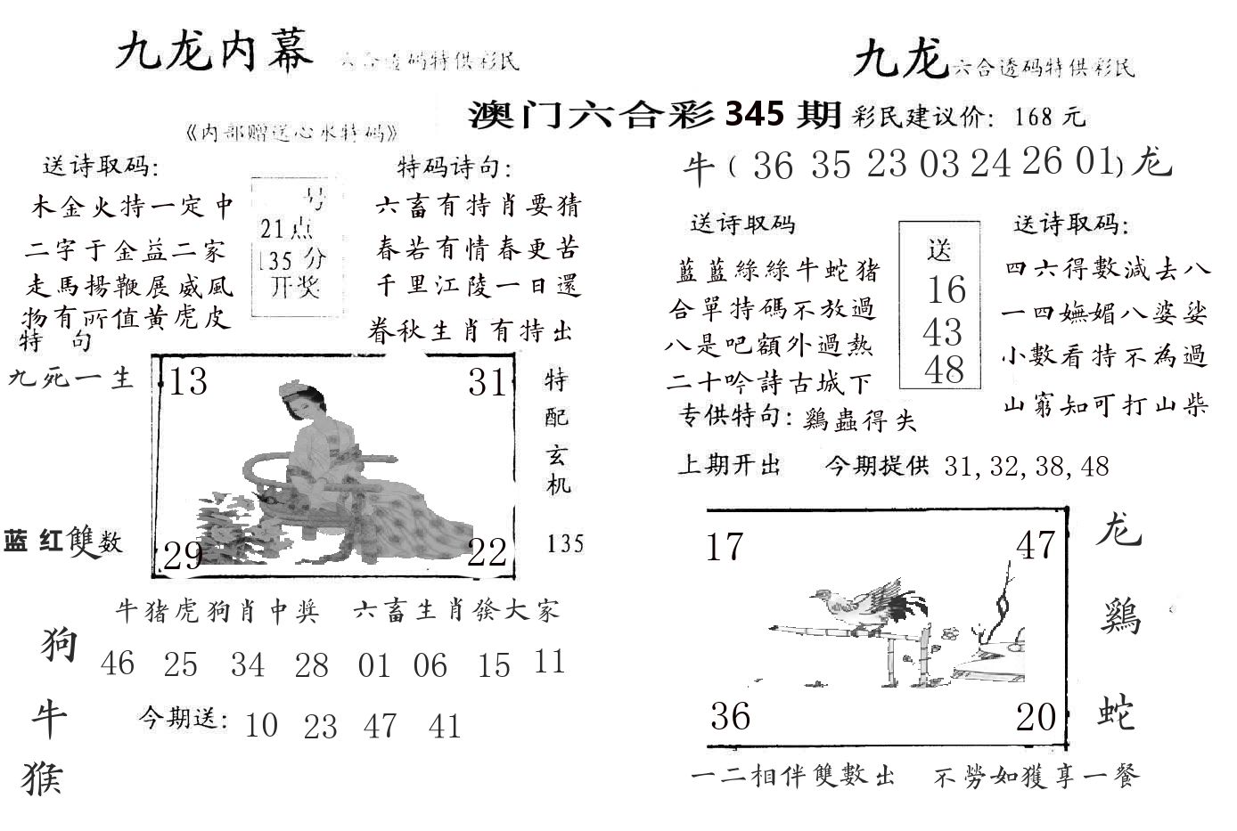 九龙内幕 第345期