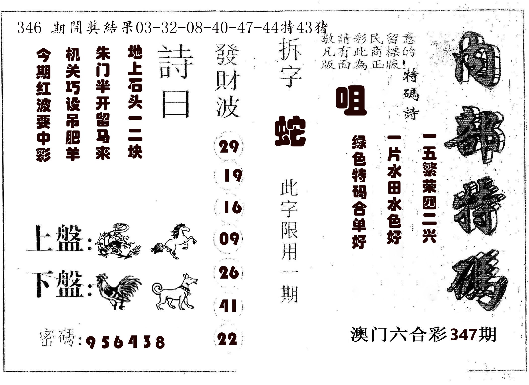内部特码 第347期