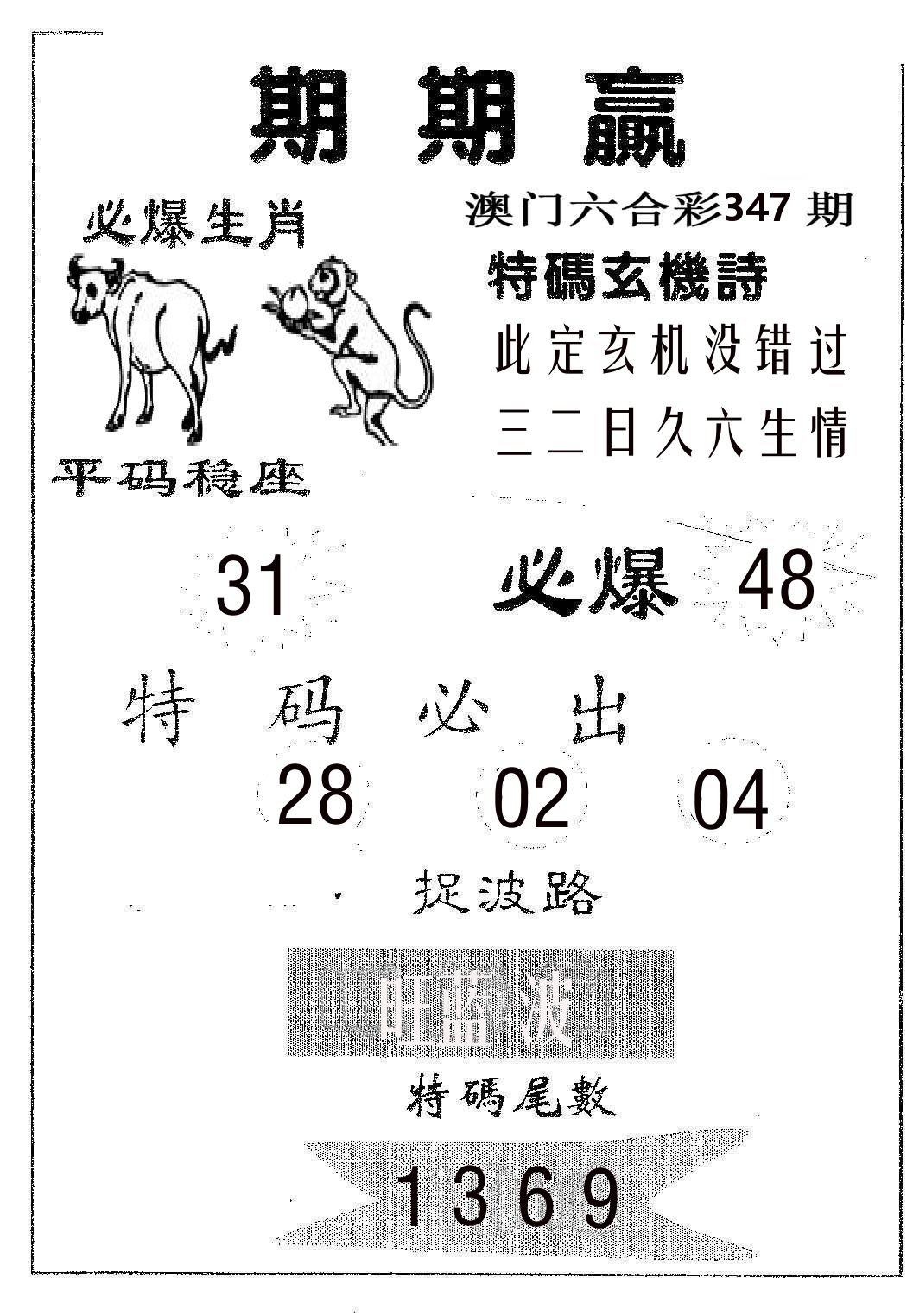 期期赢 第347期