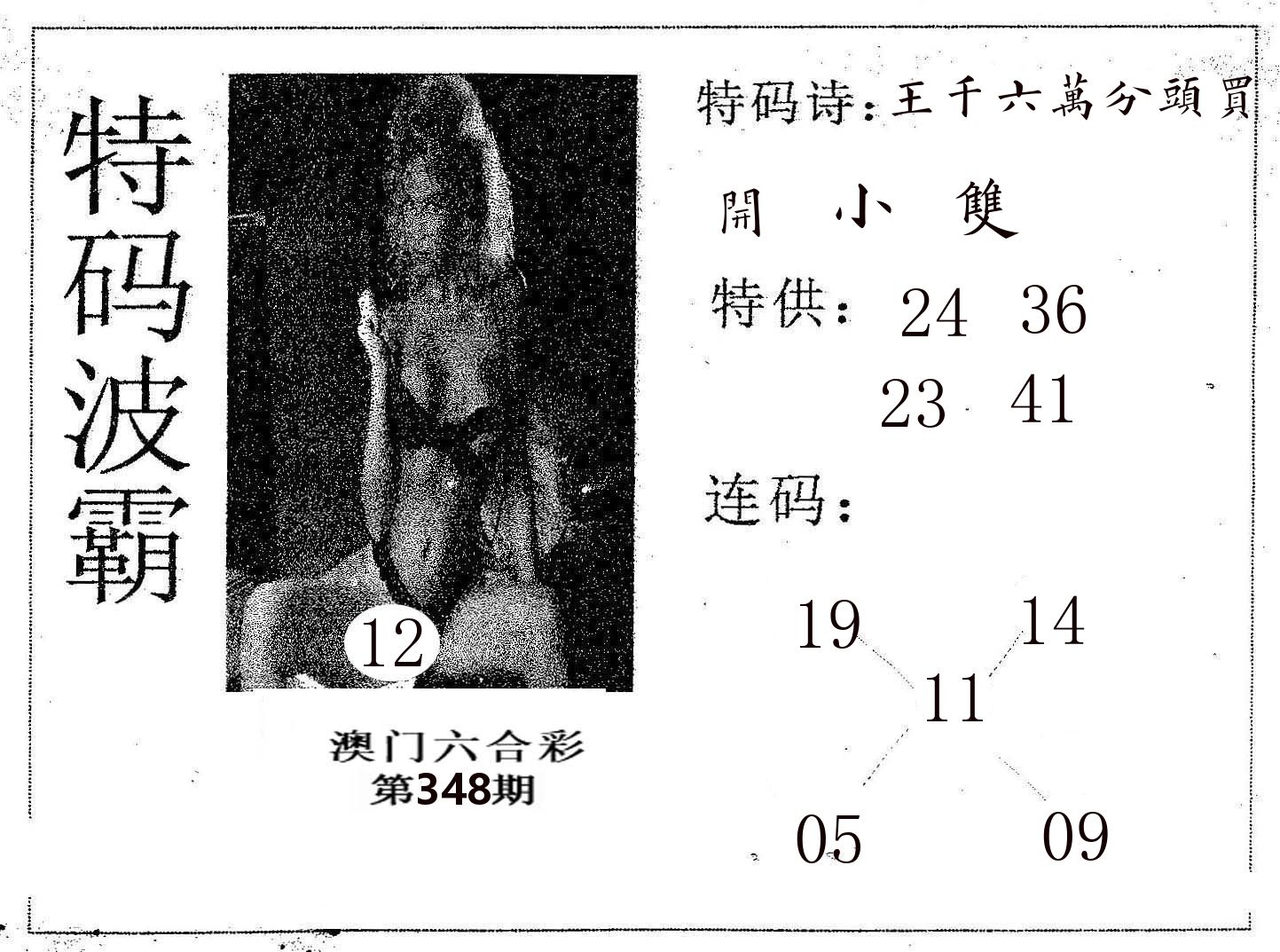 特码波霸 第348期