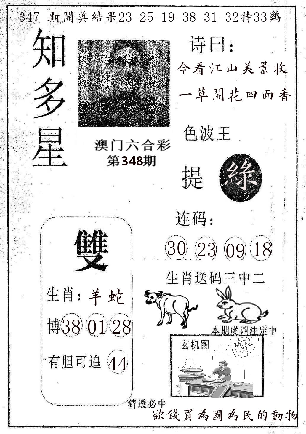 知多星 第348期