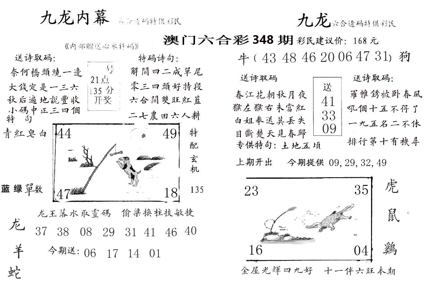 九龙内幕 第348期