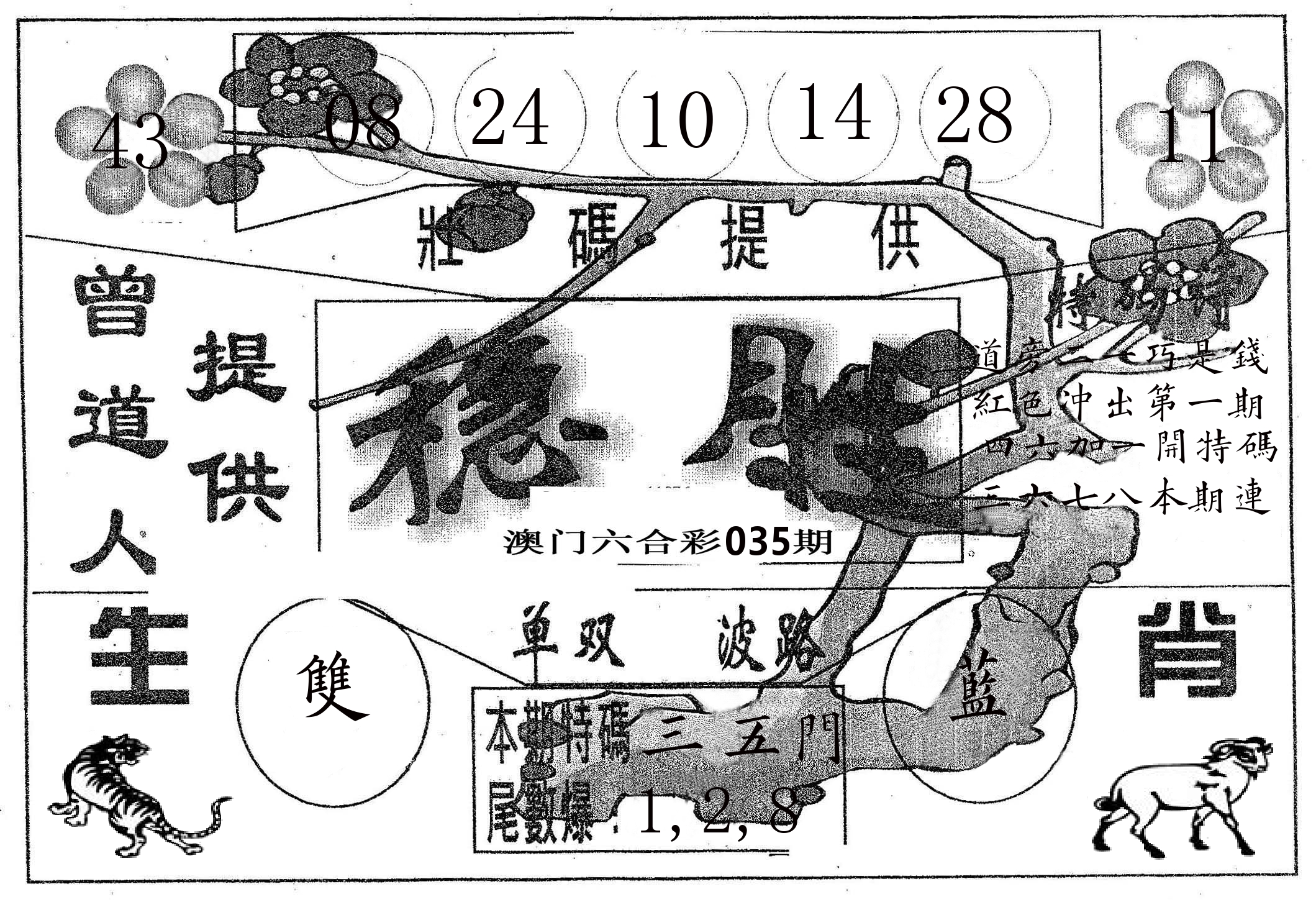 稳胜 第35期