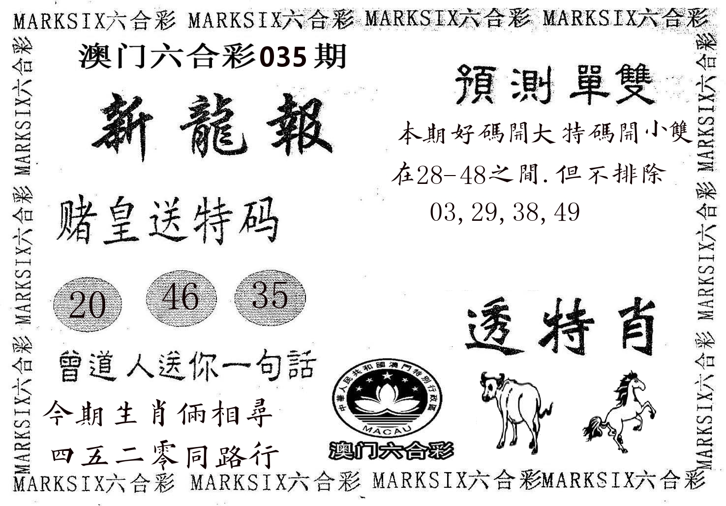 新龙报 第35期