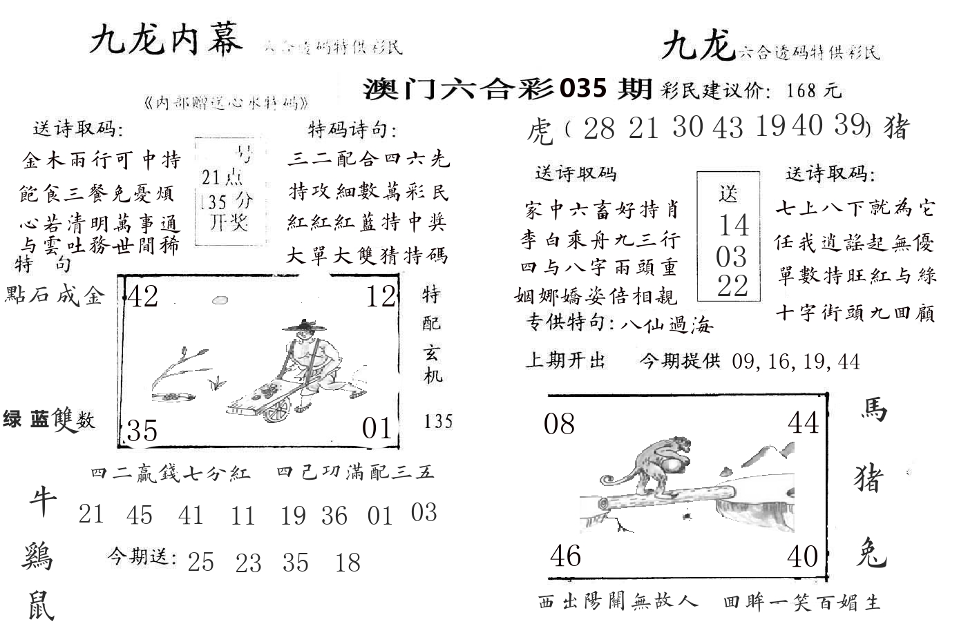 九龙内幕 第35期
