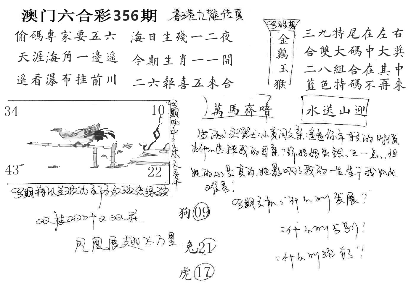 澳门手写九龙 第356期