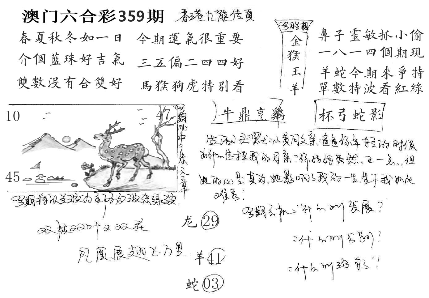 澳门手写九龙 第359期