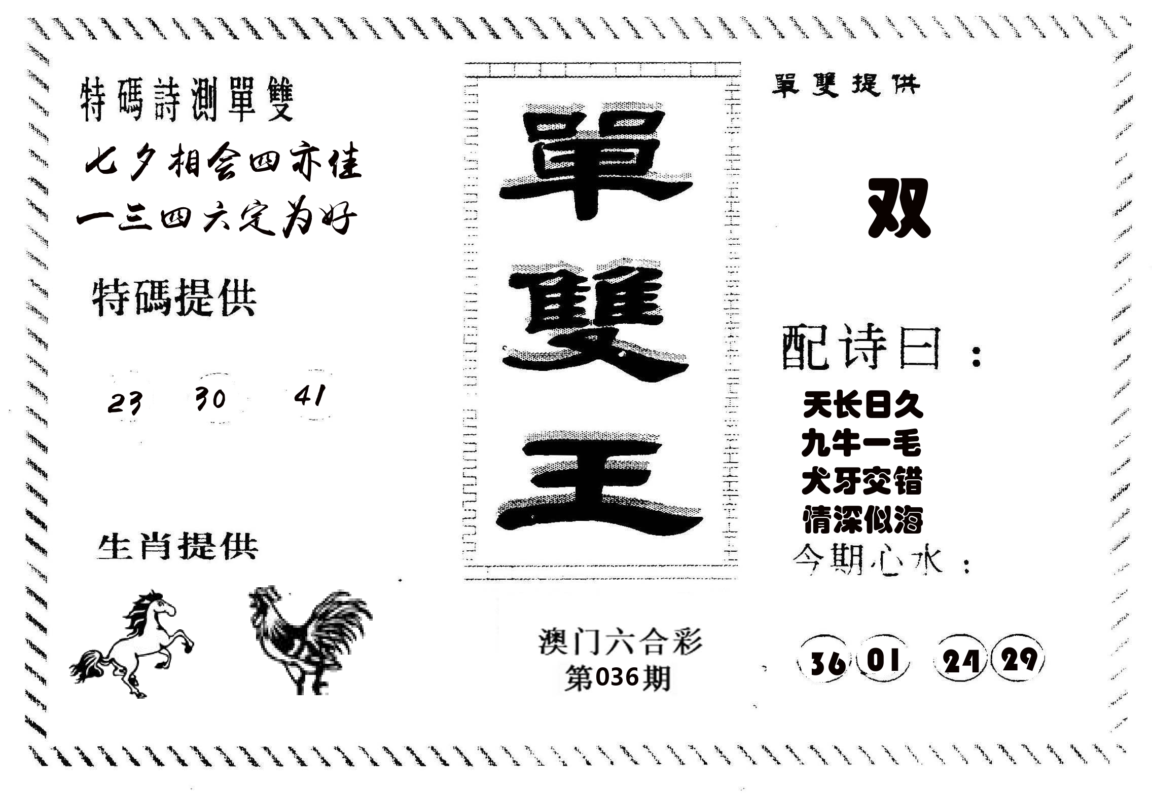 单双王B 第36期