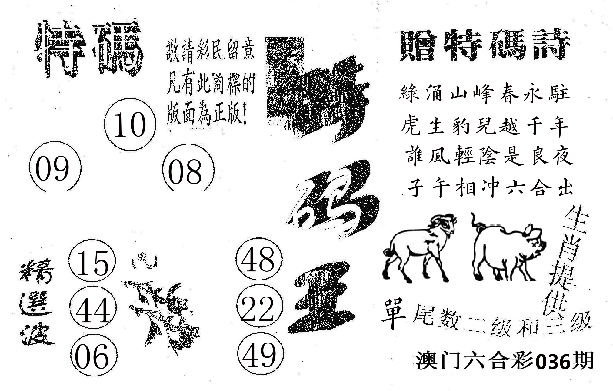 特码王A 第36期