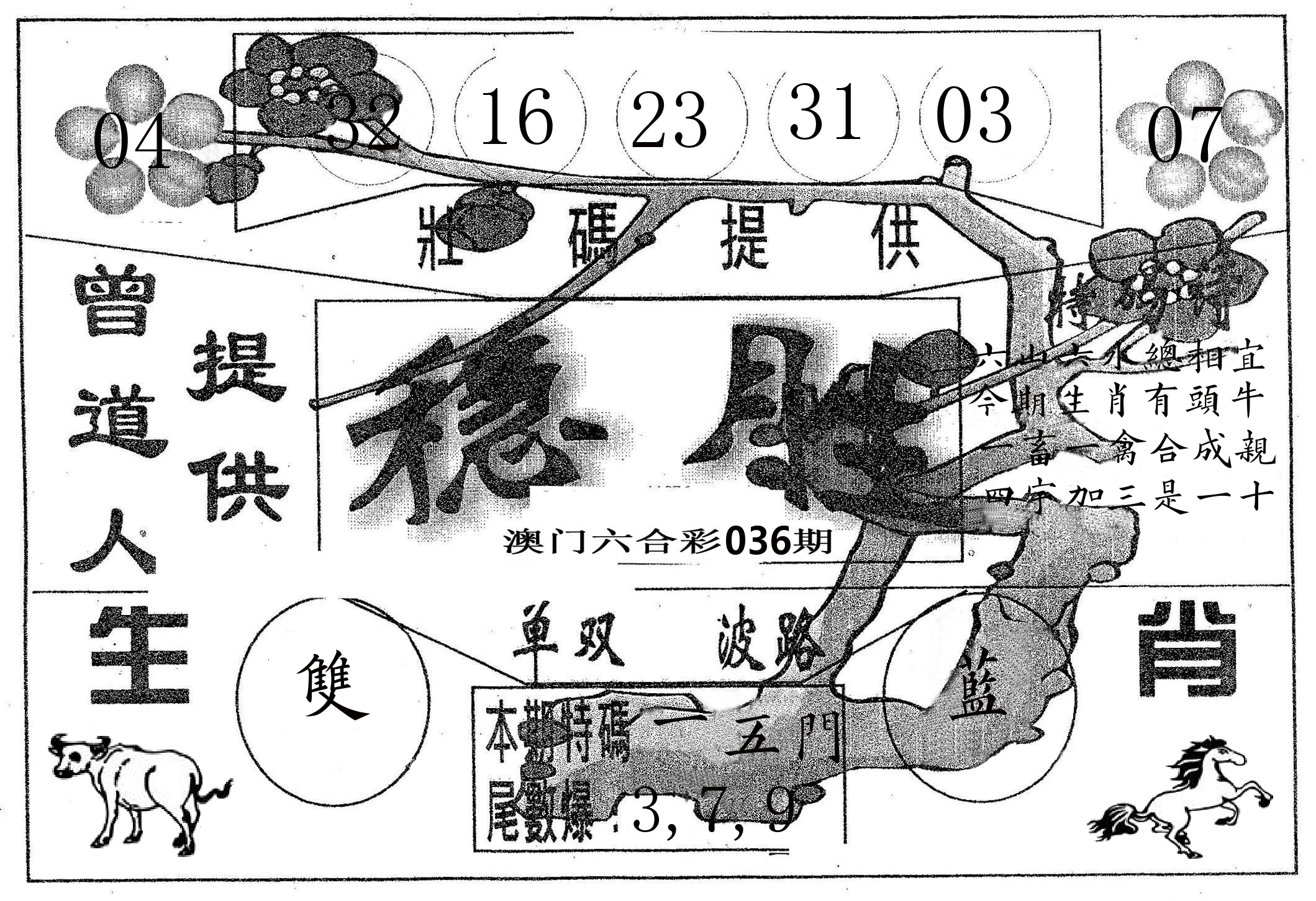 稳胜 第36期