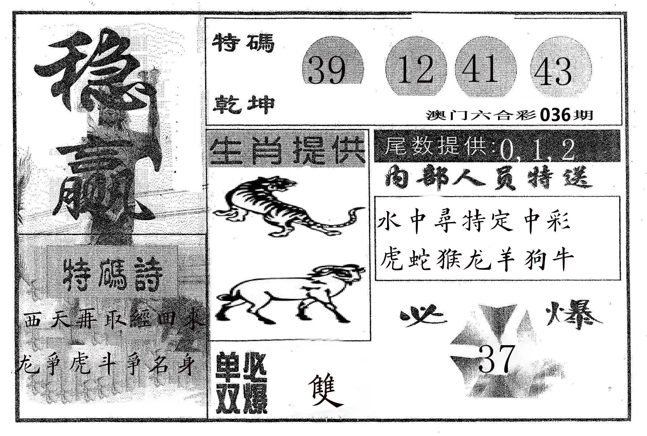 稳赢 第36期