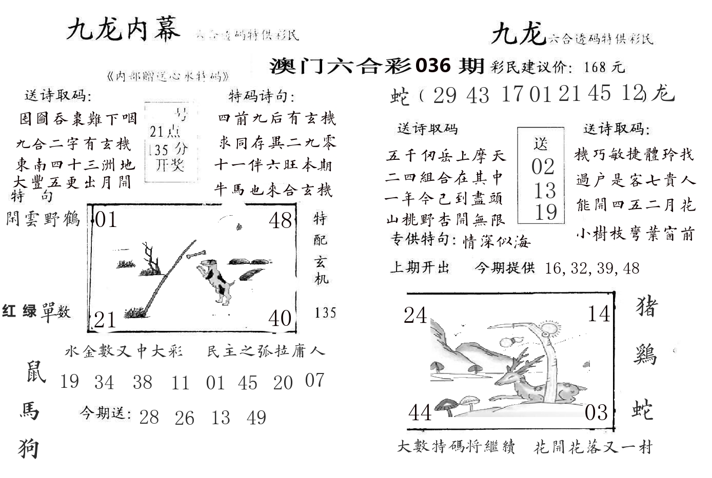 九龙内幕 第36期
