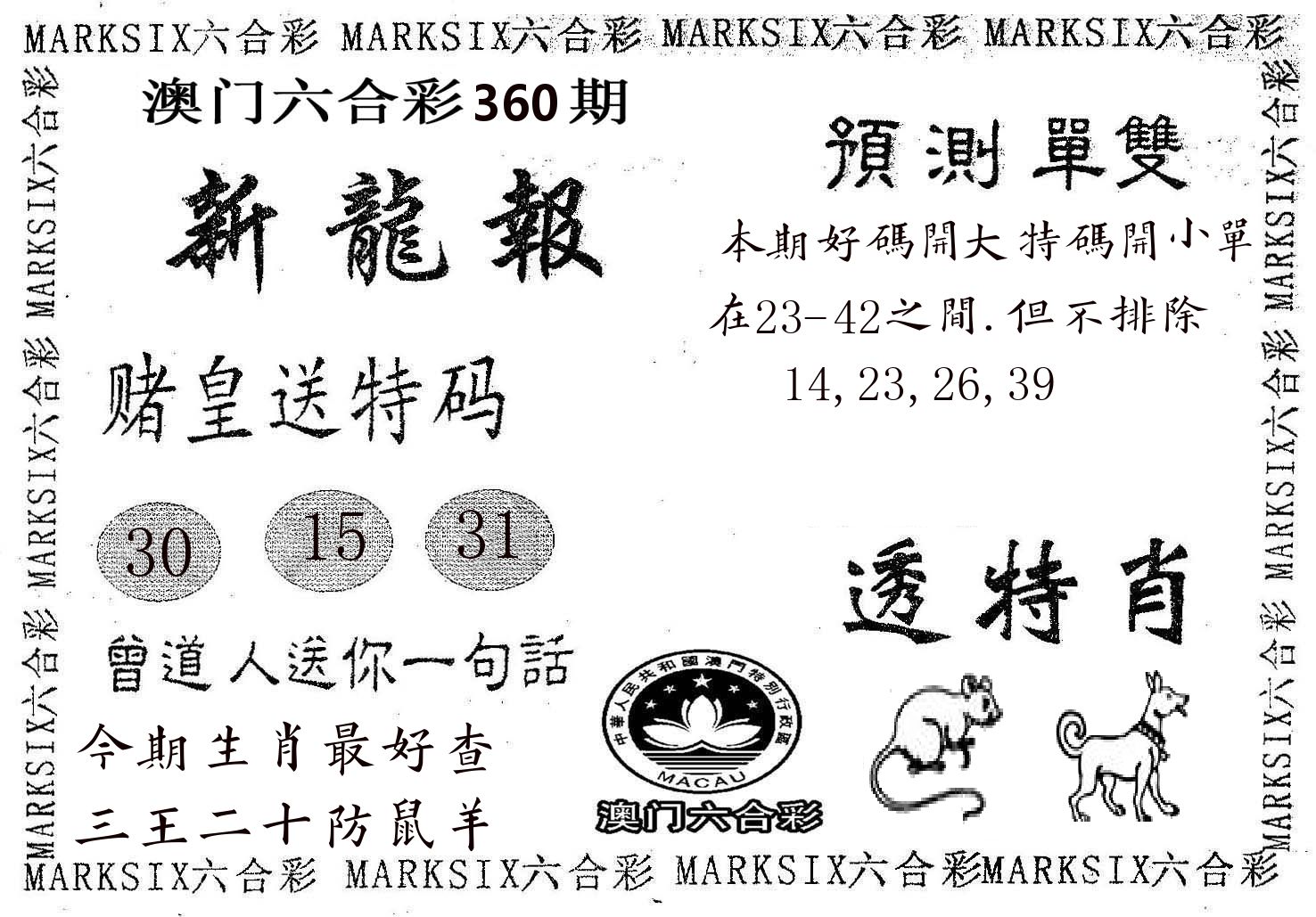 新龙报 第360期