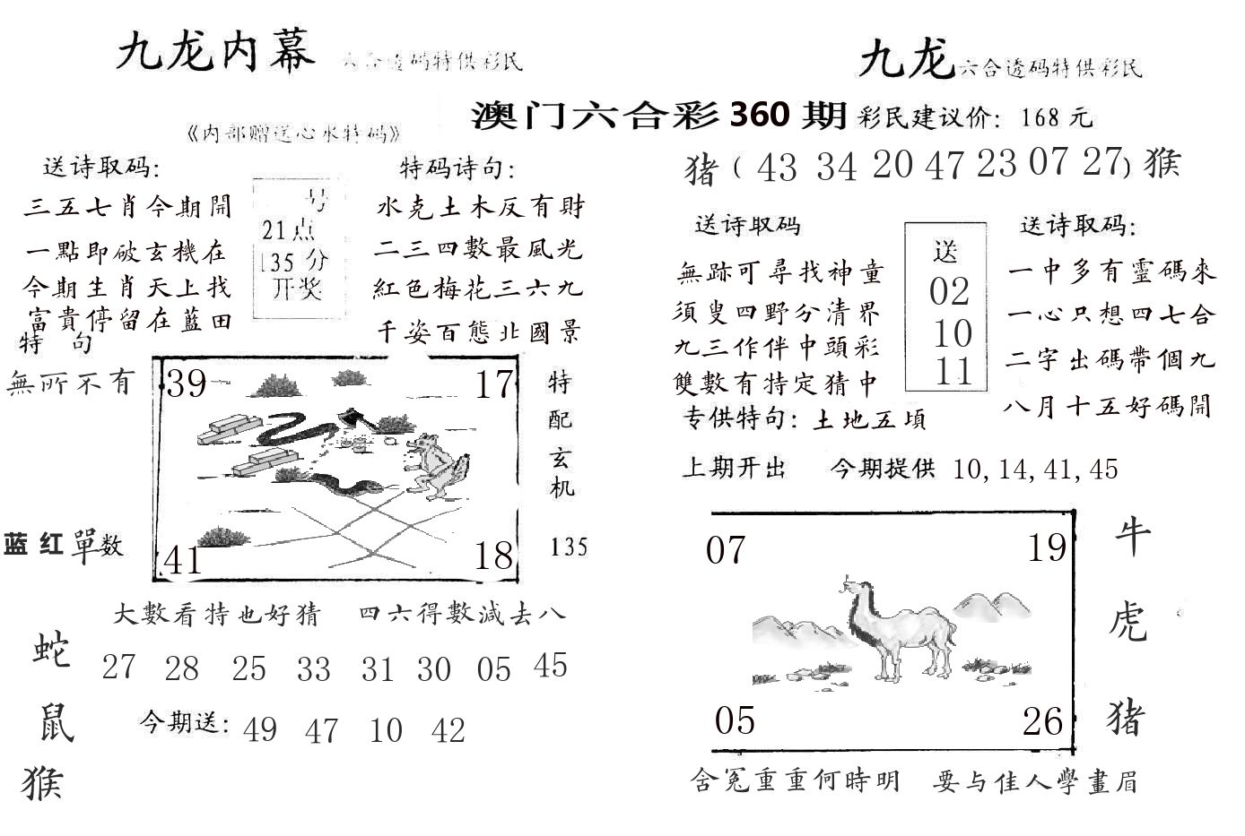 九龙内幕 第360期