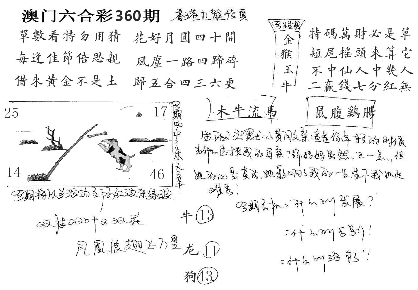 澳门手写九龙 第360期
