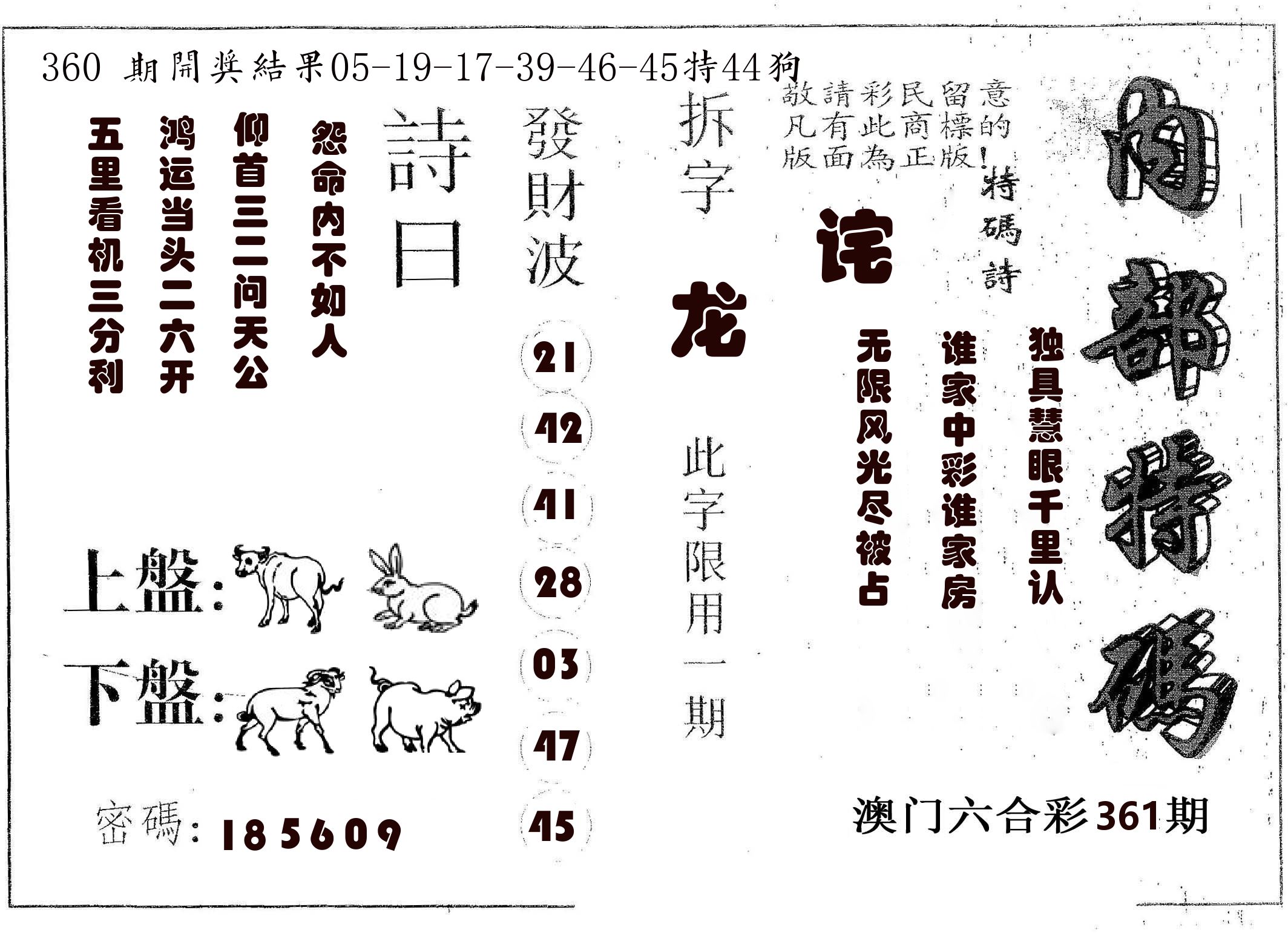 内部特码 第361期