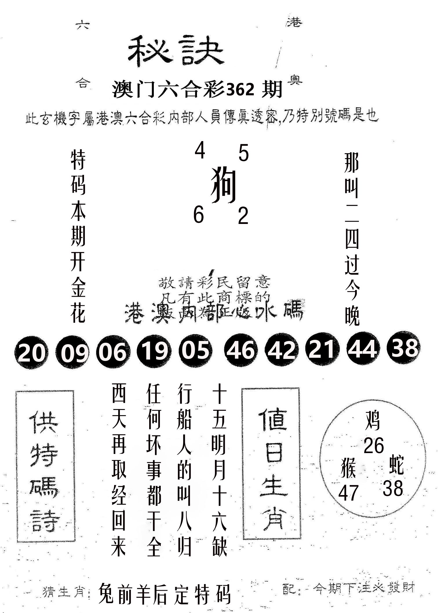 秘决 第362期