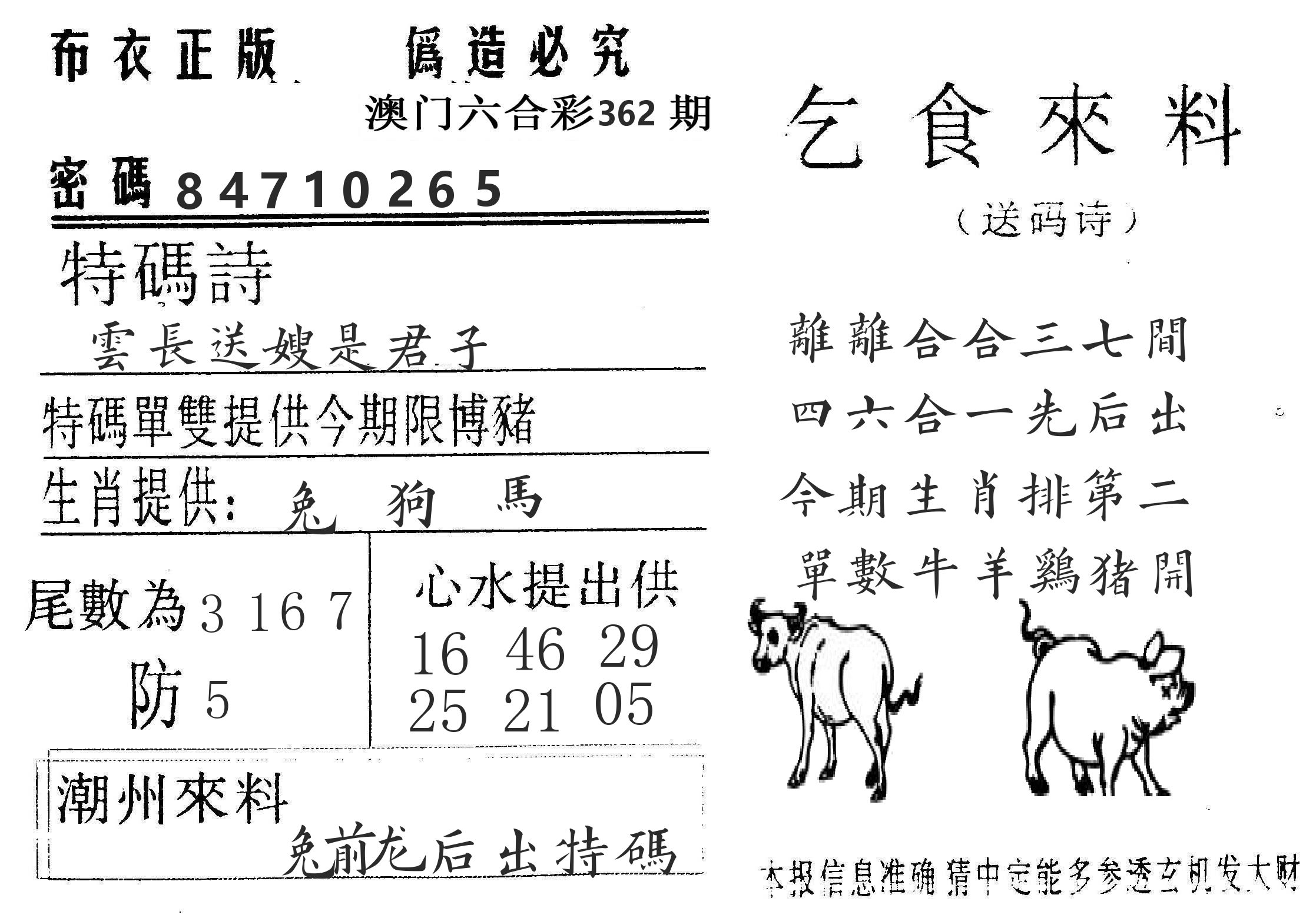 千禧码王 第362期