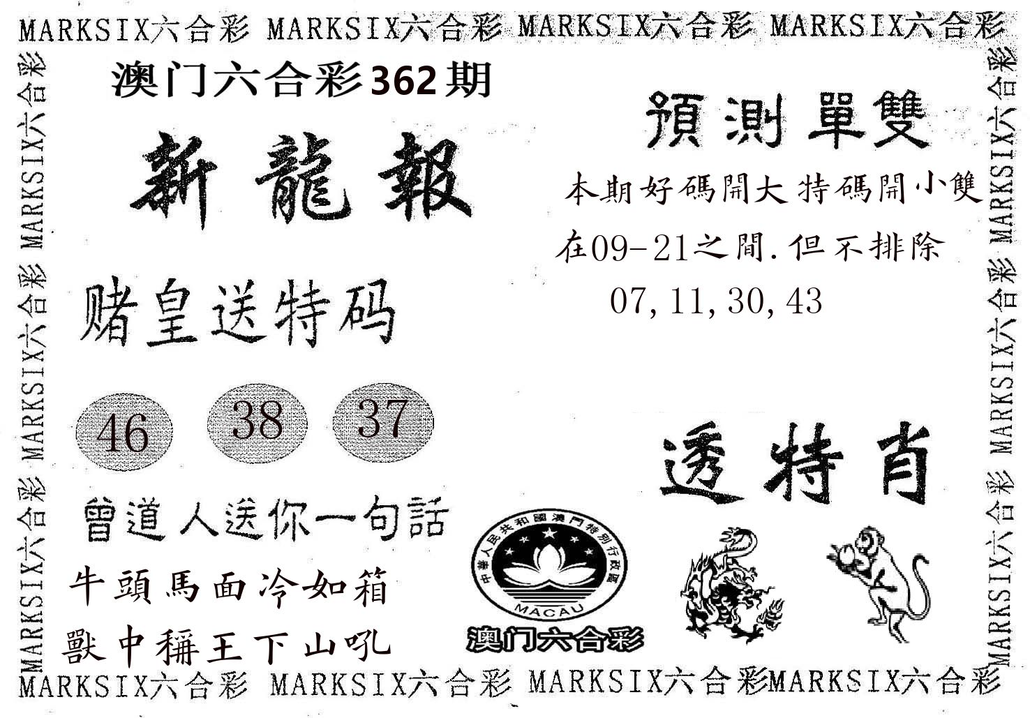 新龙报 第362期