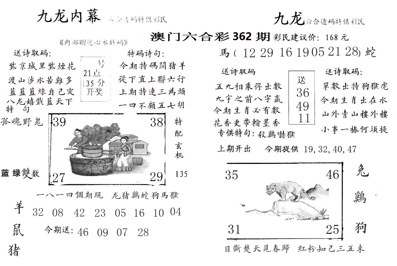 九龙内幕 第362期