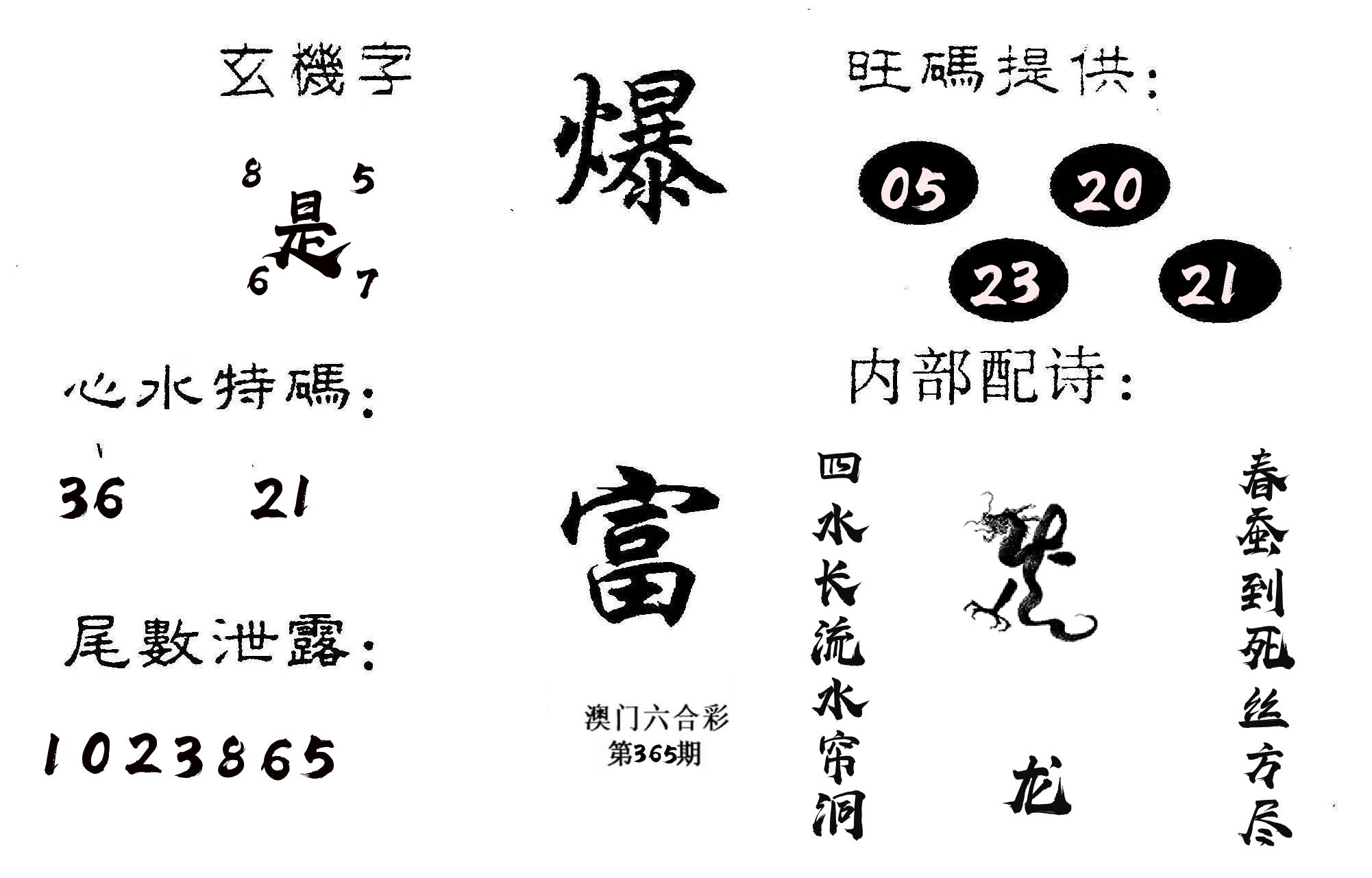 爆富 第365期