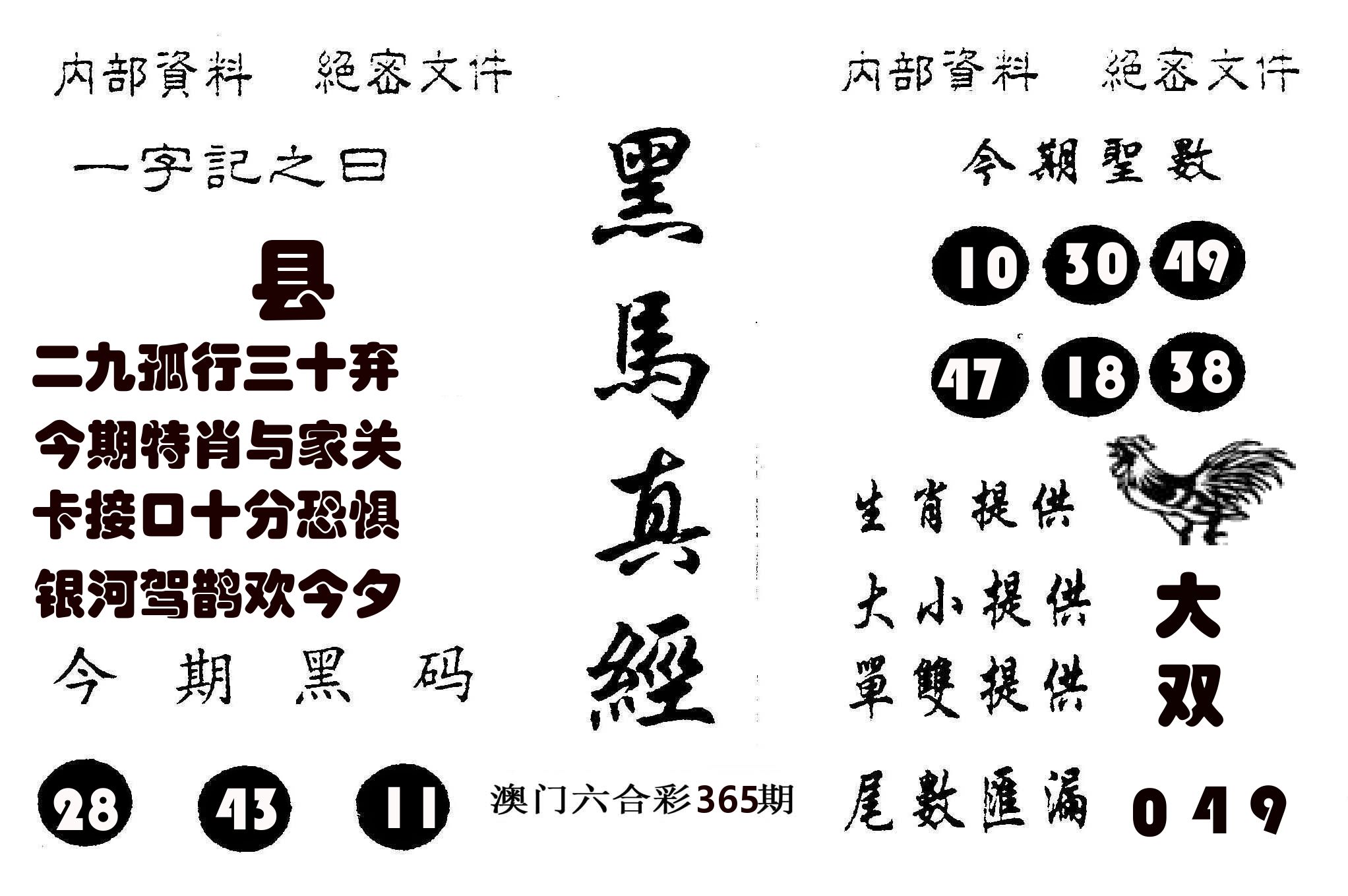 黑马真经 第365期