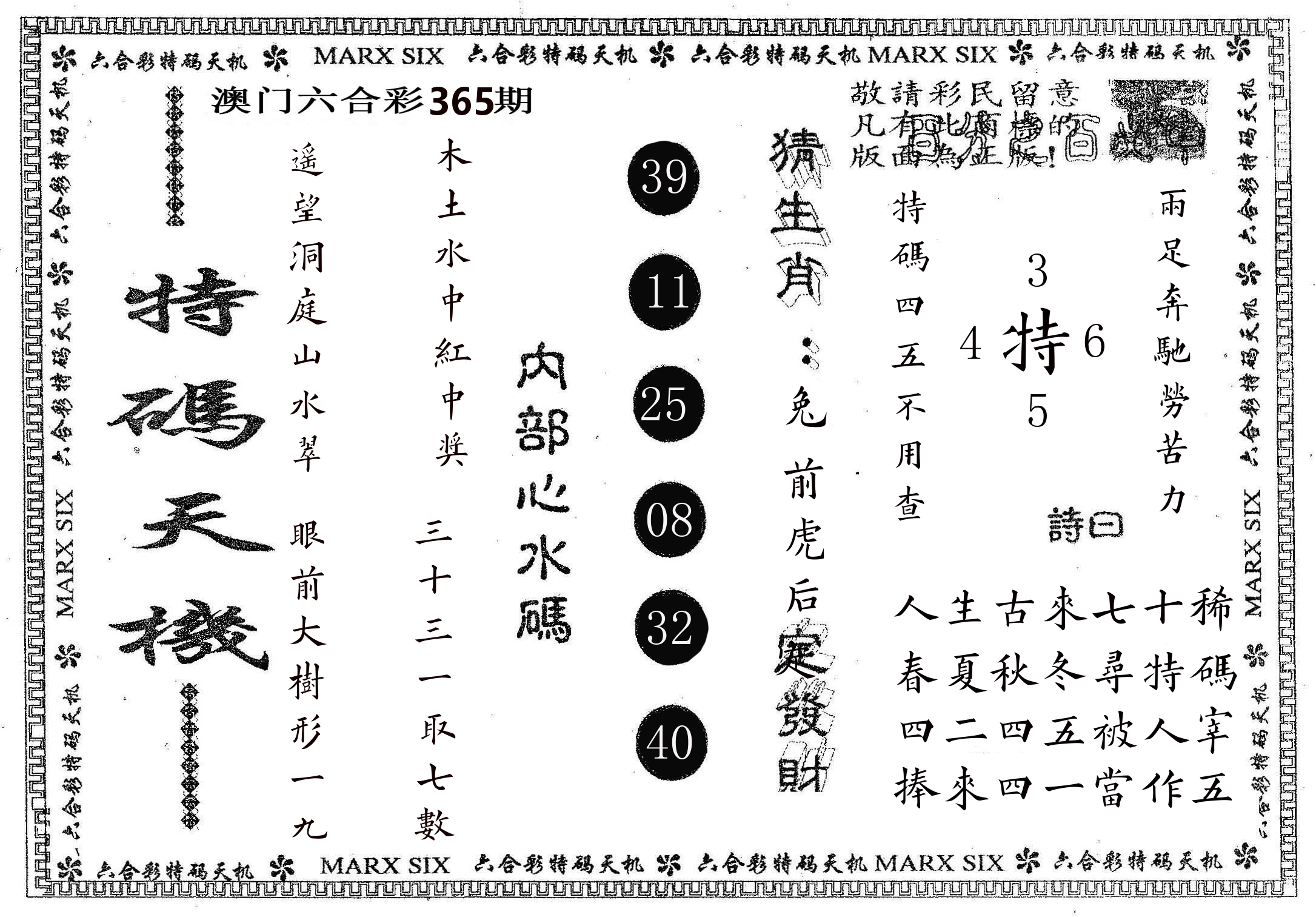 特码天机 第365期