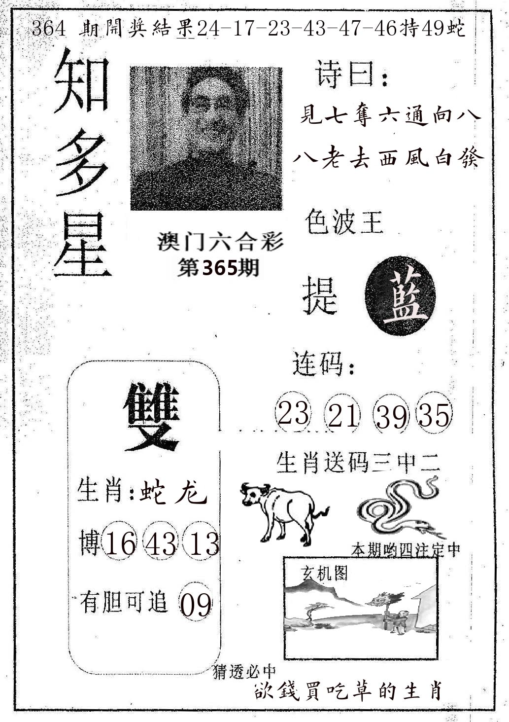 知多星 第365期