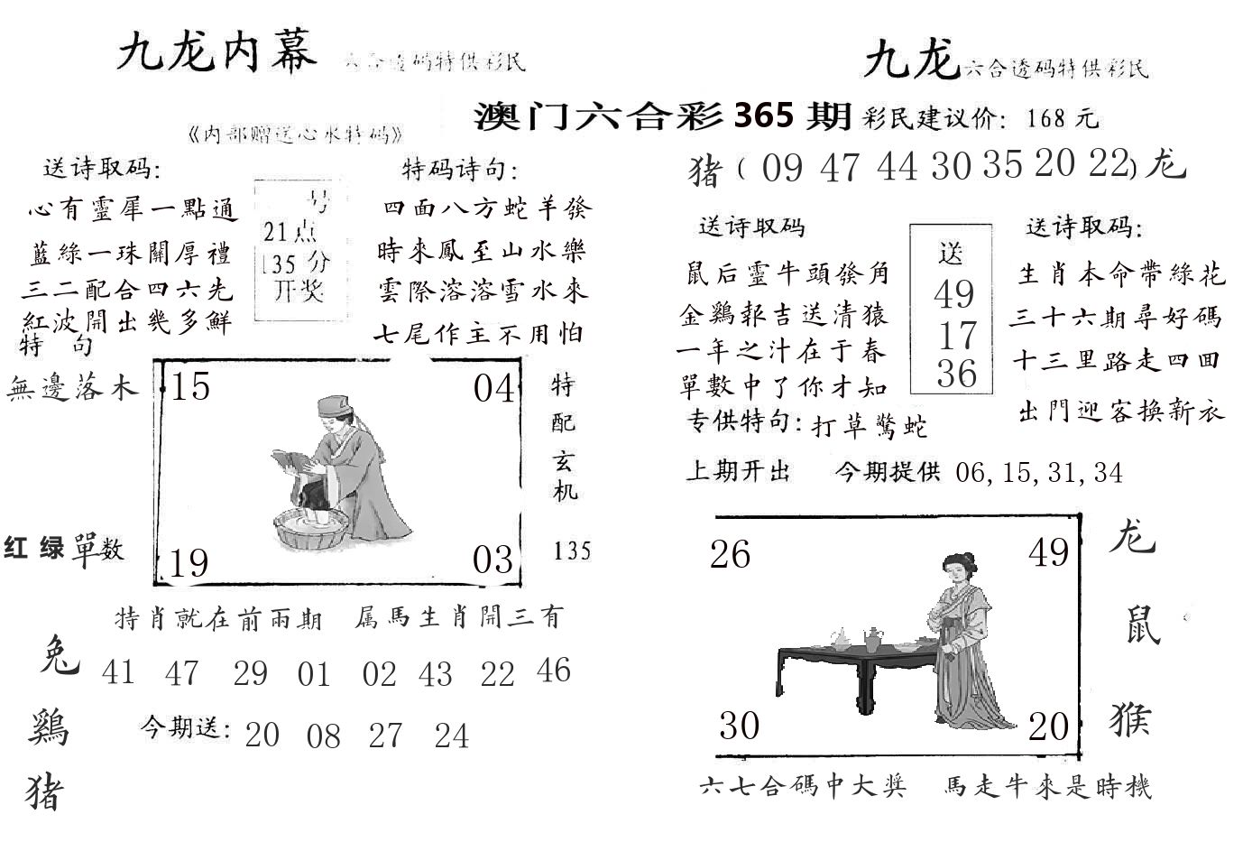 九龙内幕 第365期