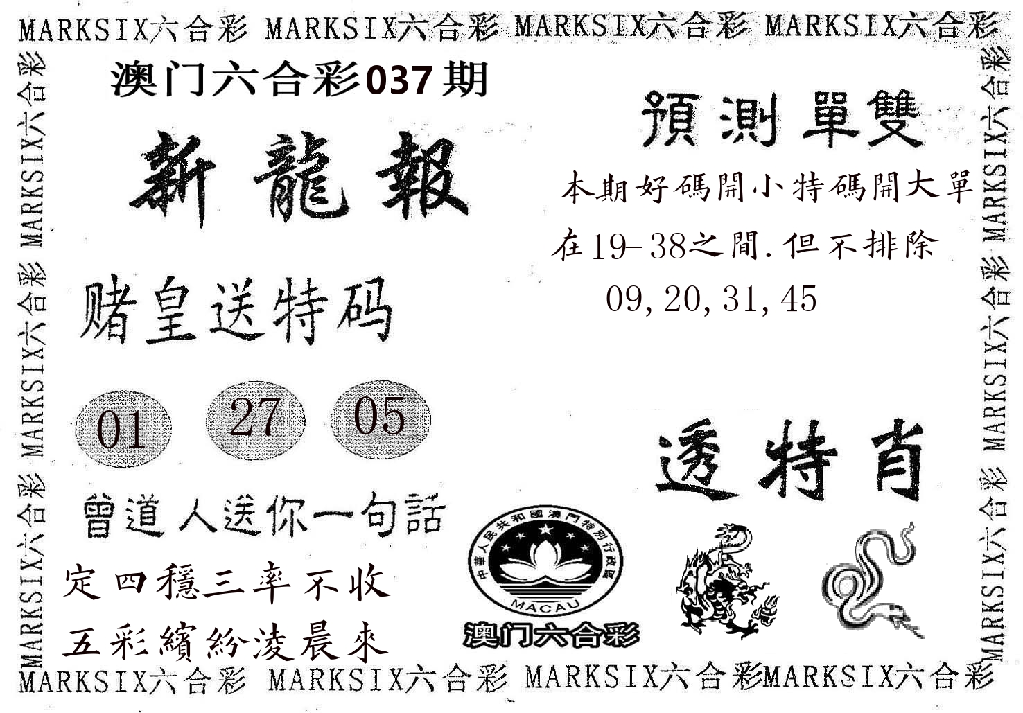 新龙报 第37期