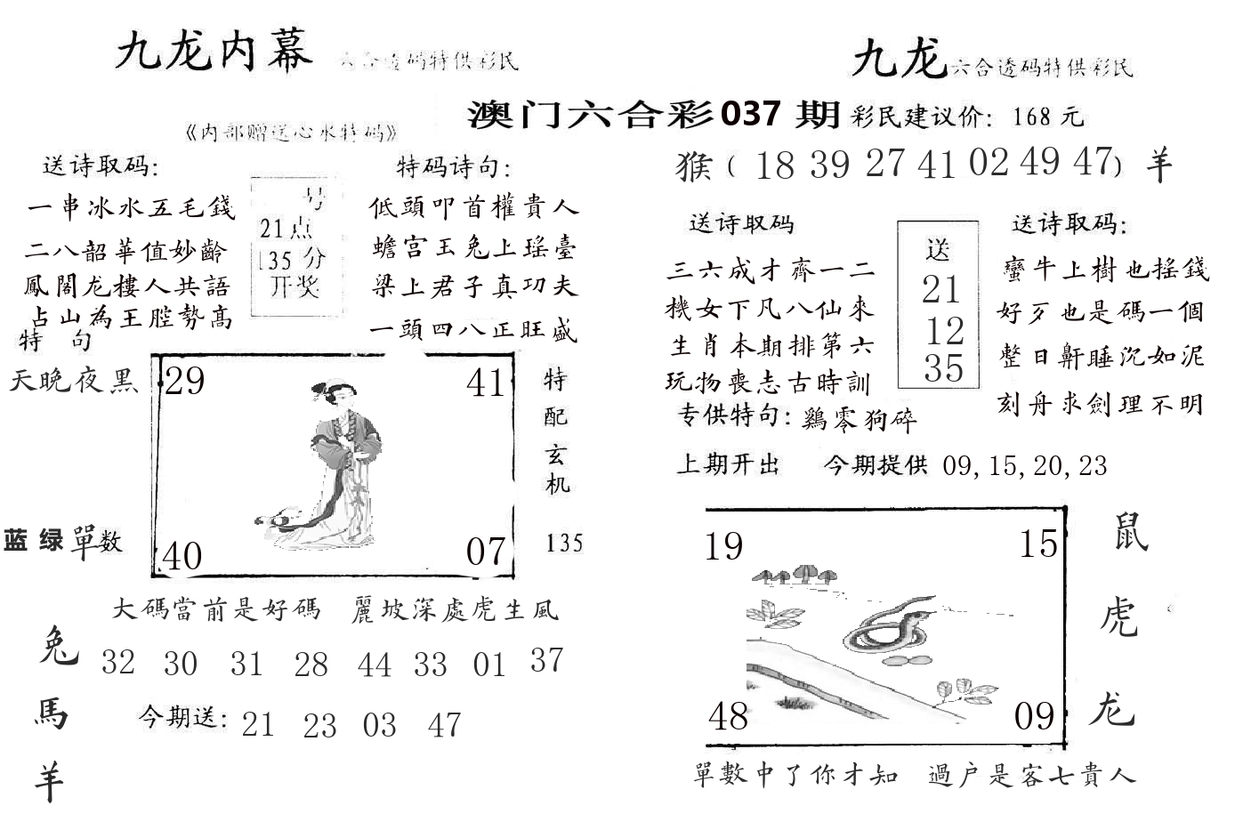 九龙内幕 第37期
