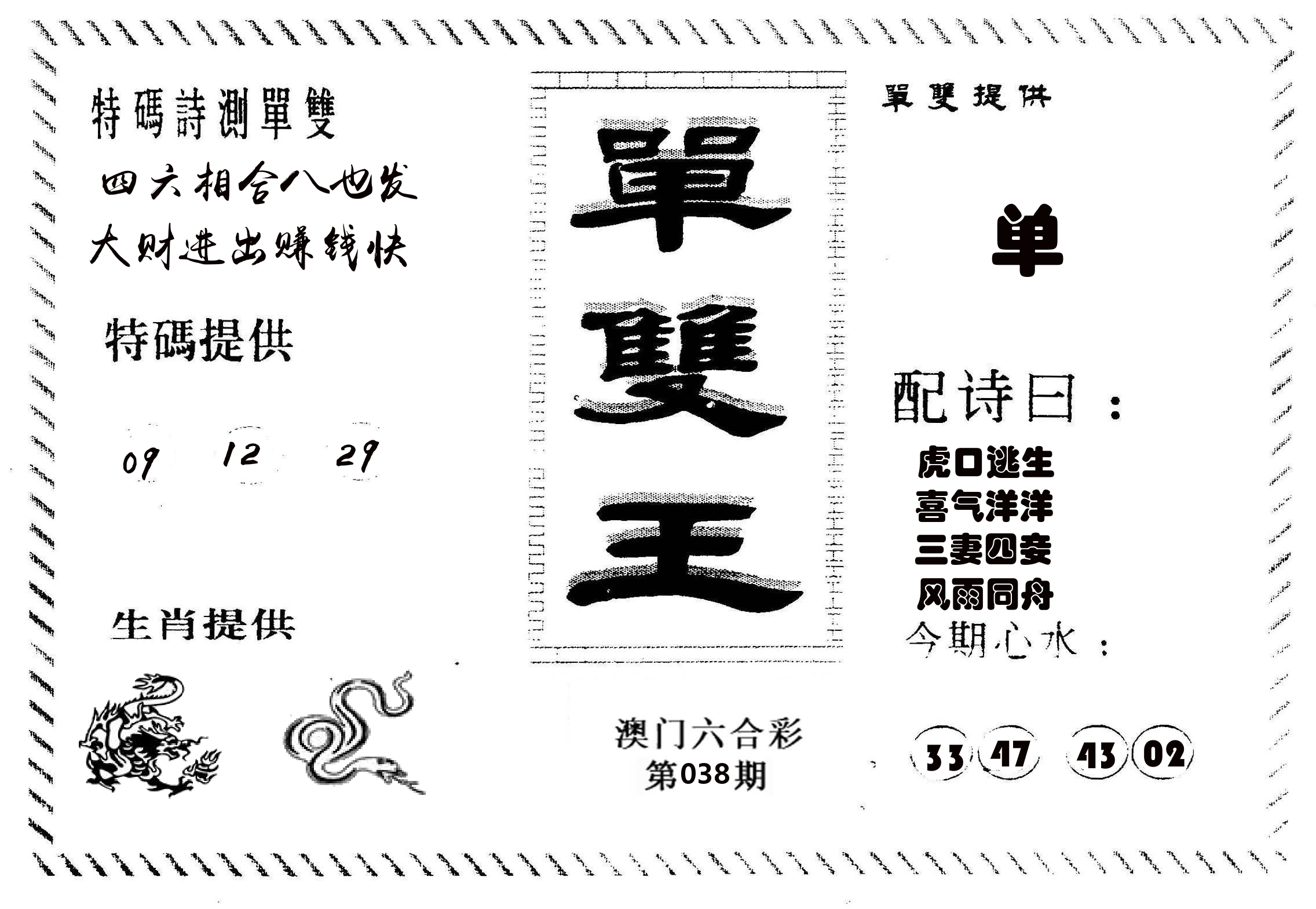 单双王B 第38期