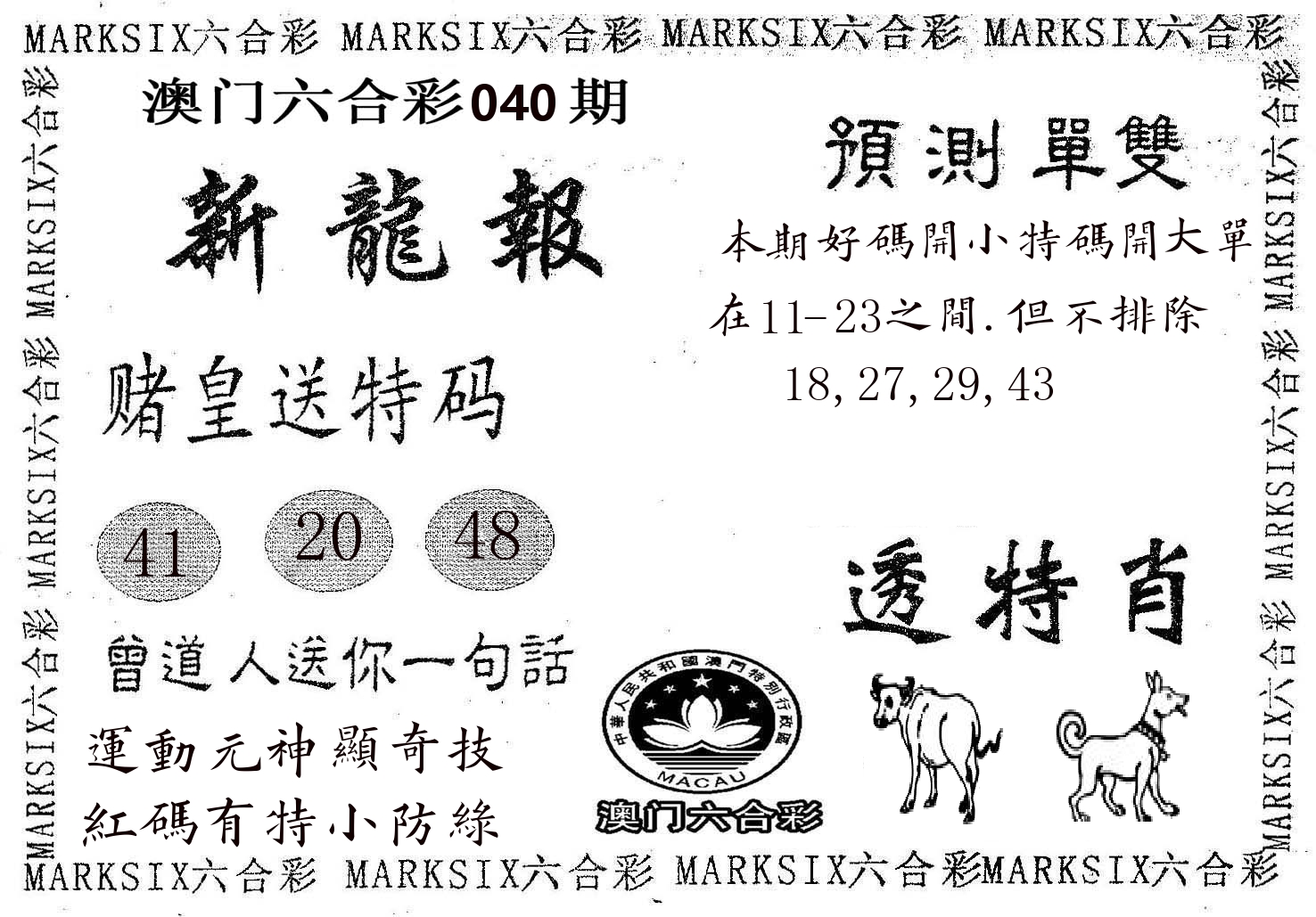 新龙报 第40期