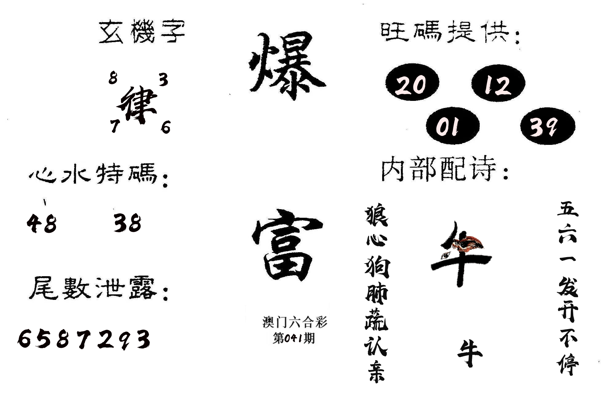 爆富 第41期