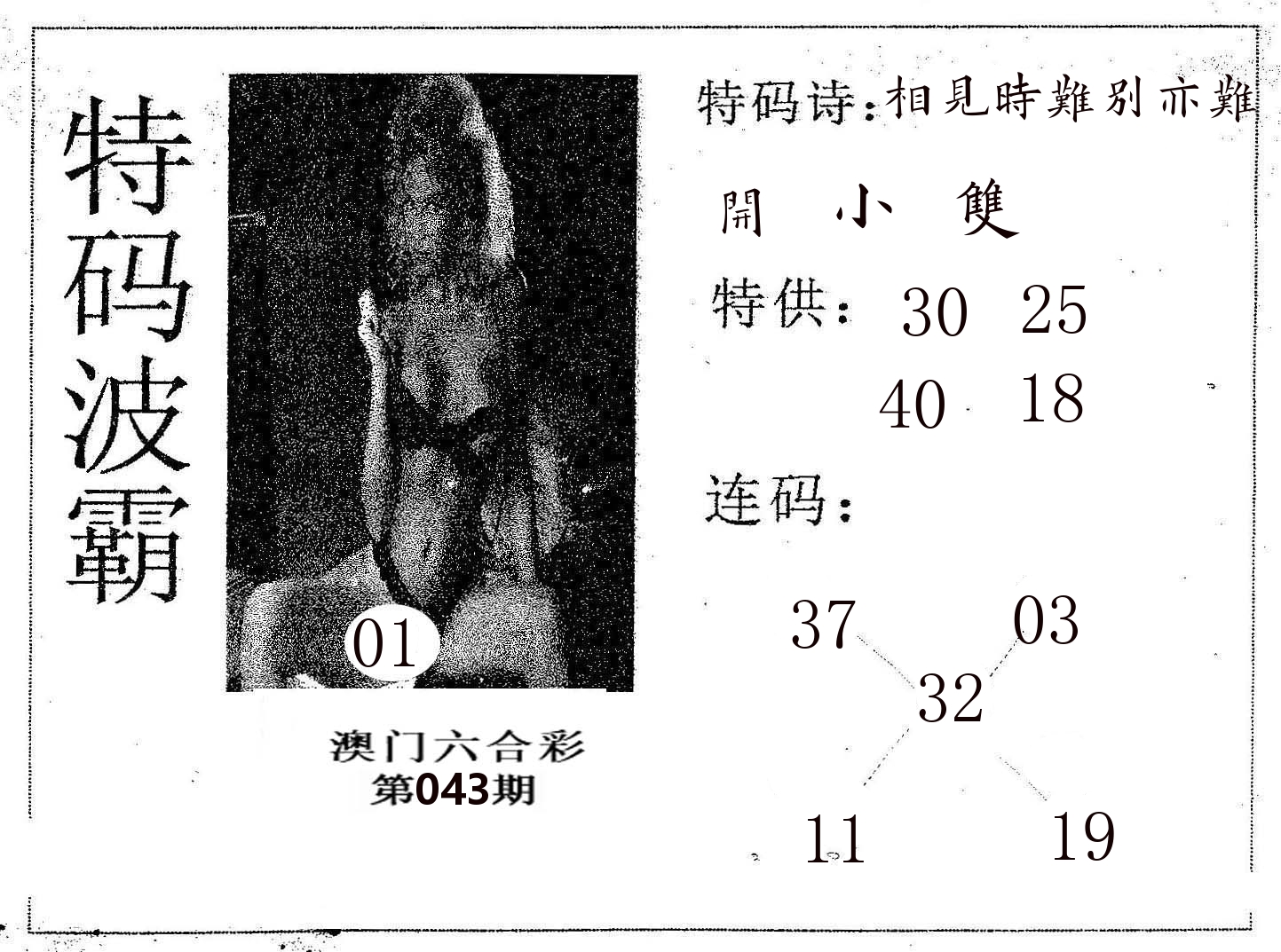 特码波霸 第43期