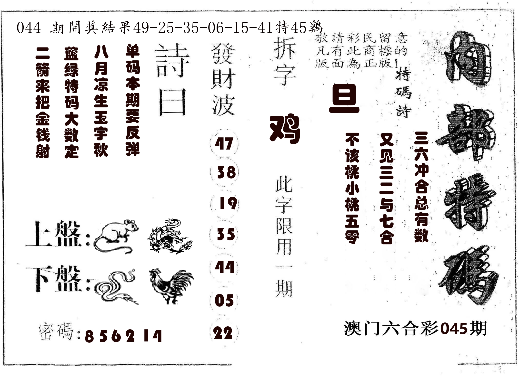 内部特码 第45期