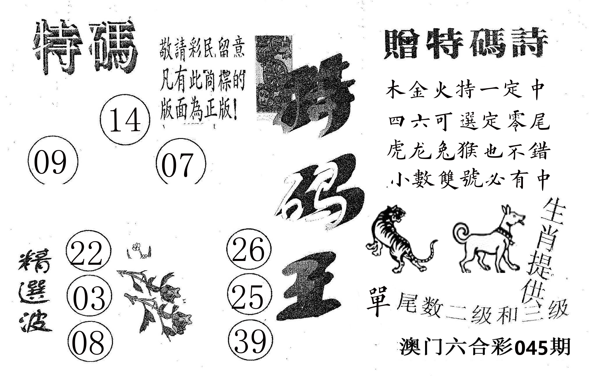 特码王A 第45期