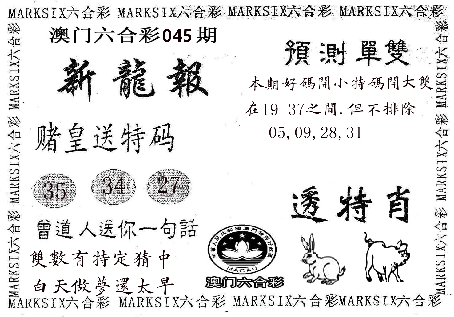 新龙报 第45期
