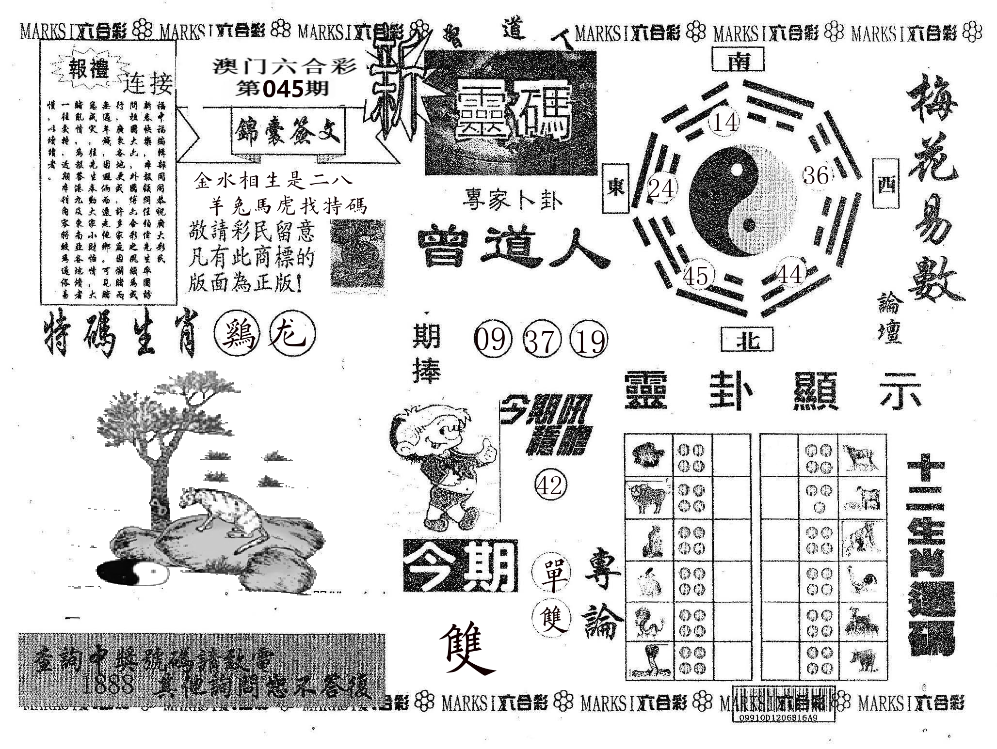 新灵码 第45期