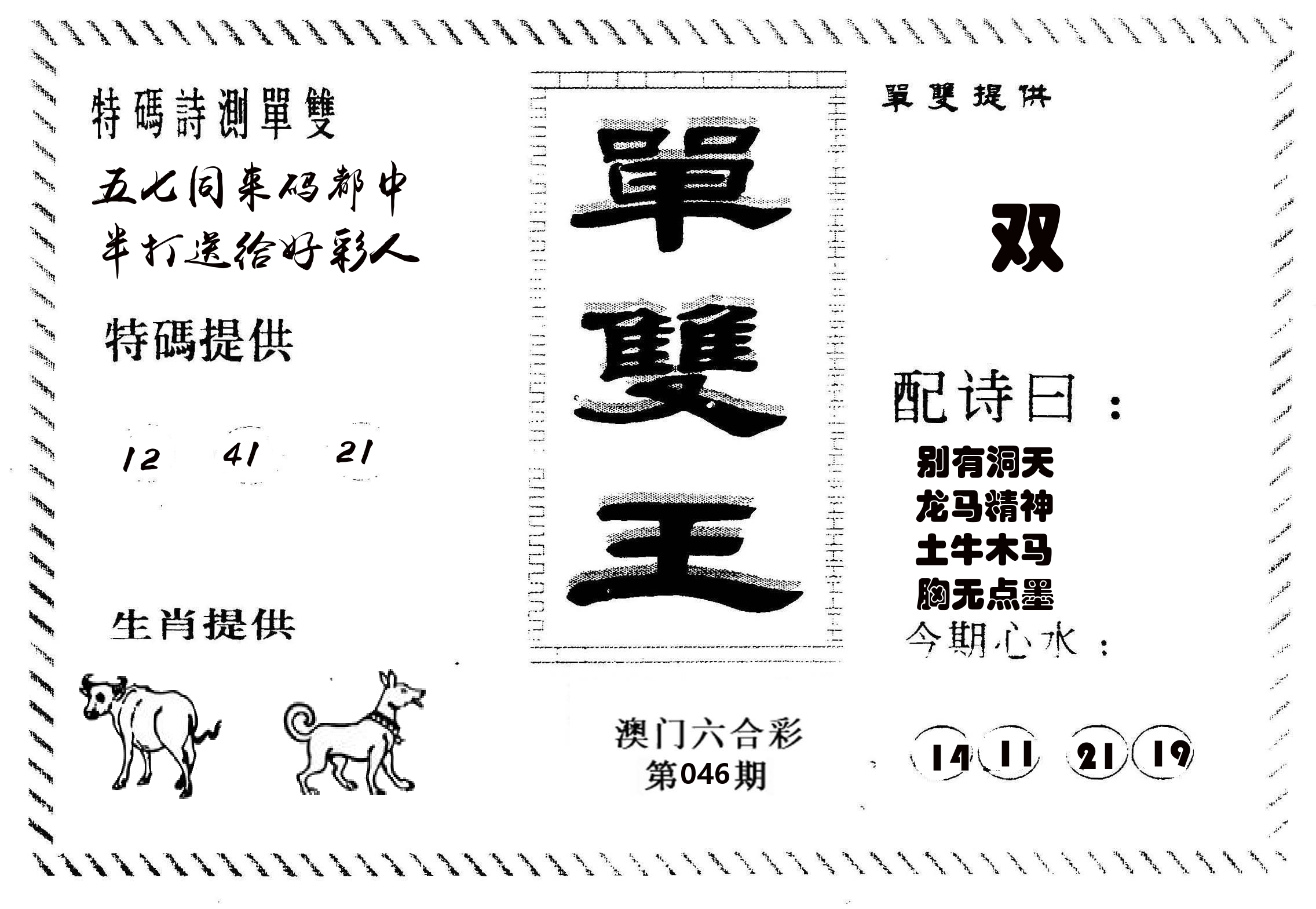 单双王B 第46期