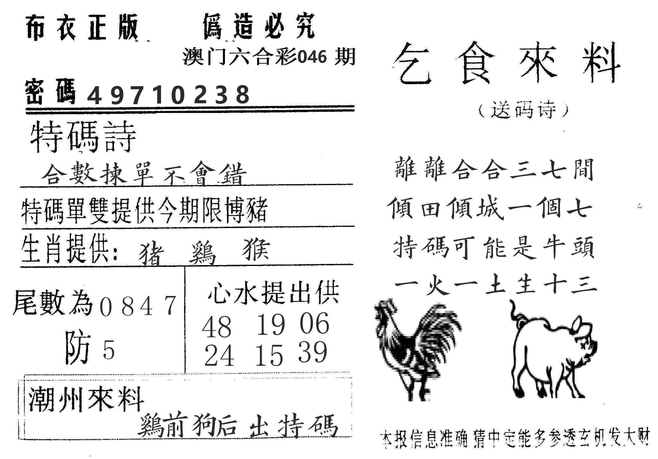 千禧码王 第46期