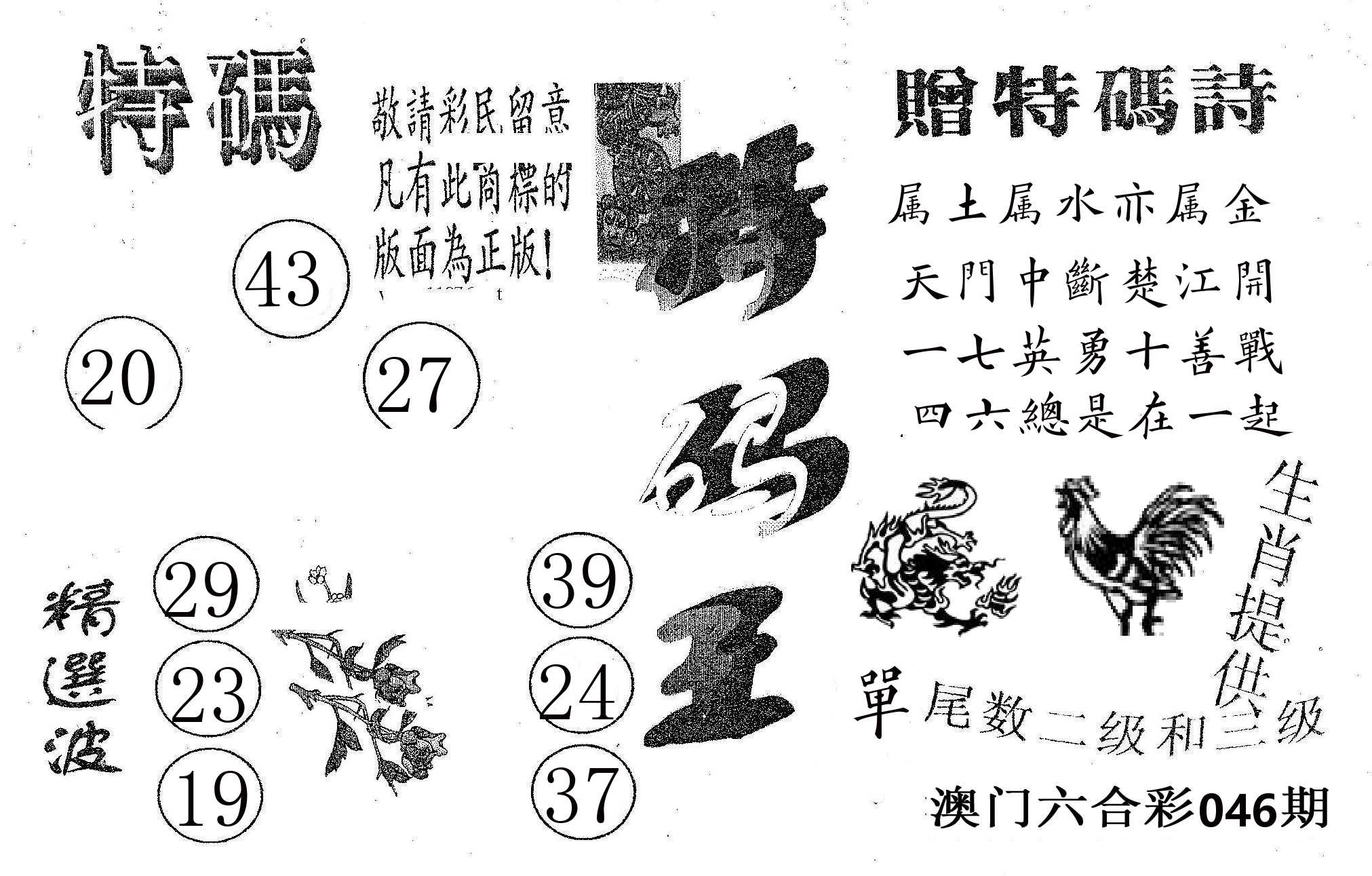 特码王A 第46期