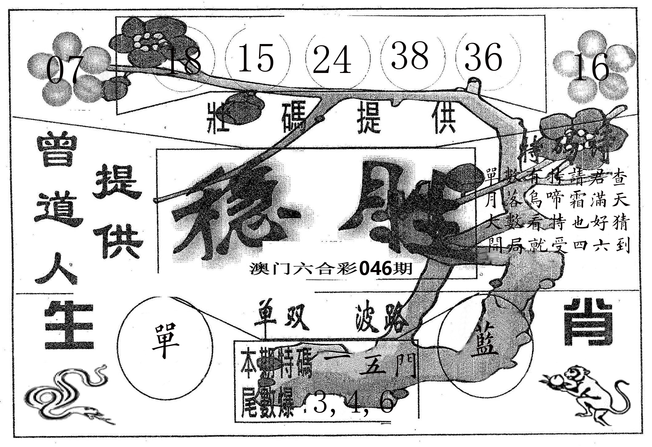 稳胜 第46期