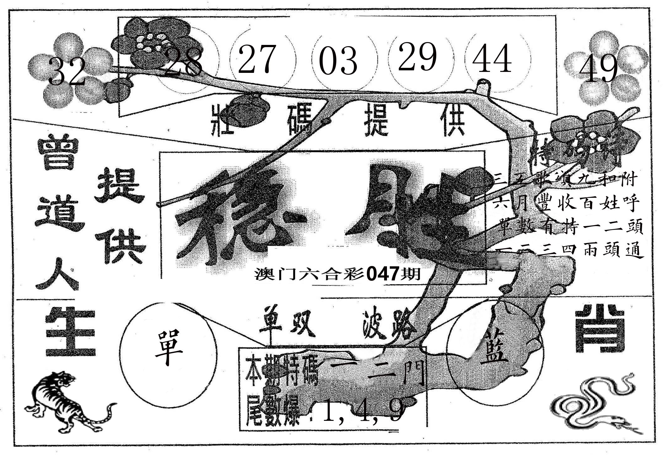 稳胜 第47期