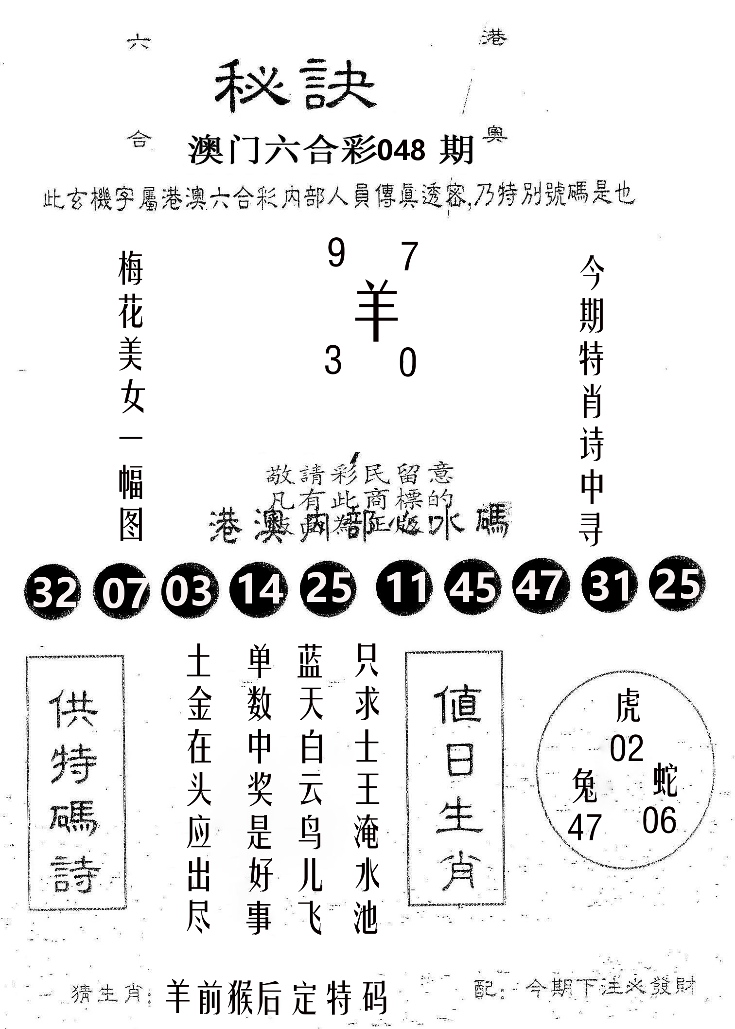 秘决 第48期