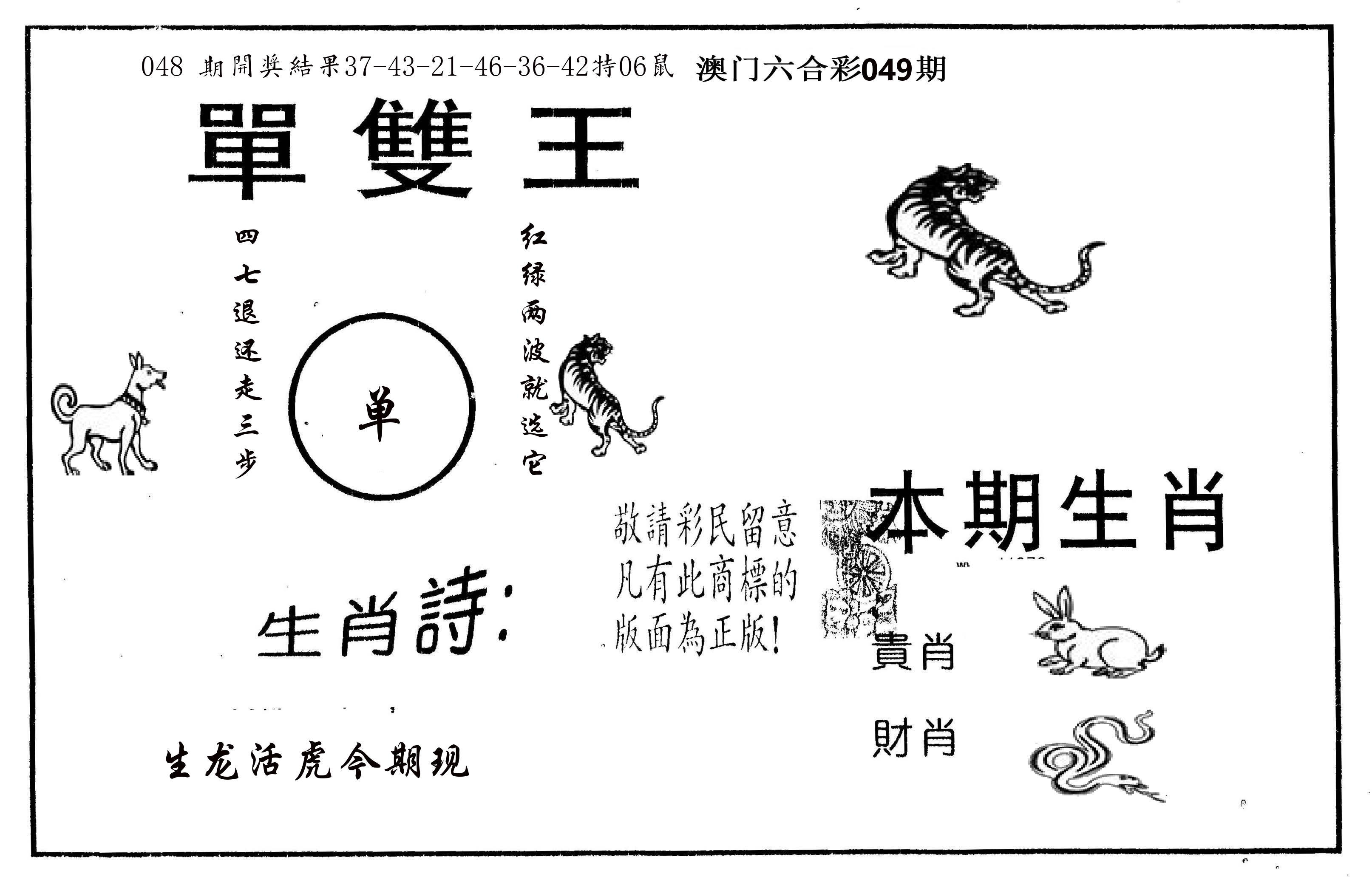 单双王A 第49期
