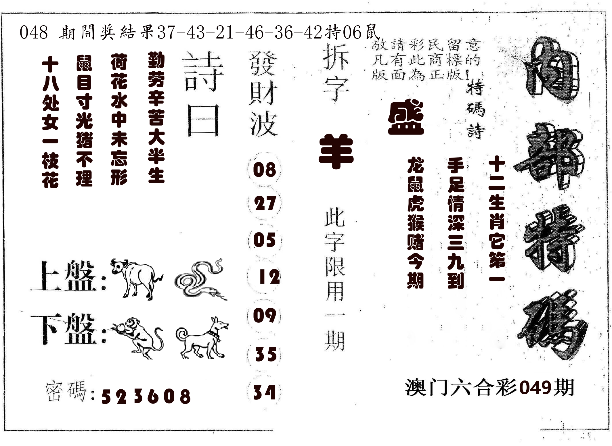 内部特码 第49期