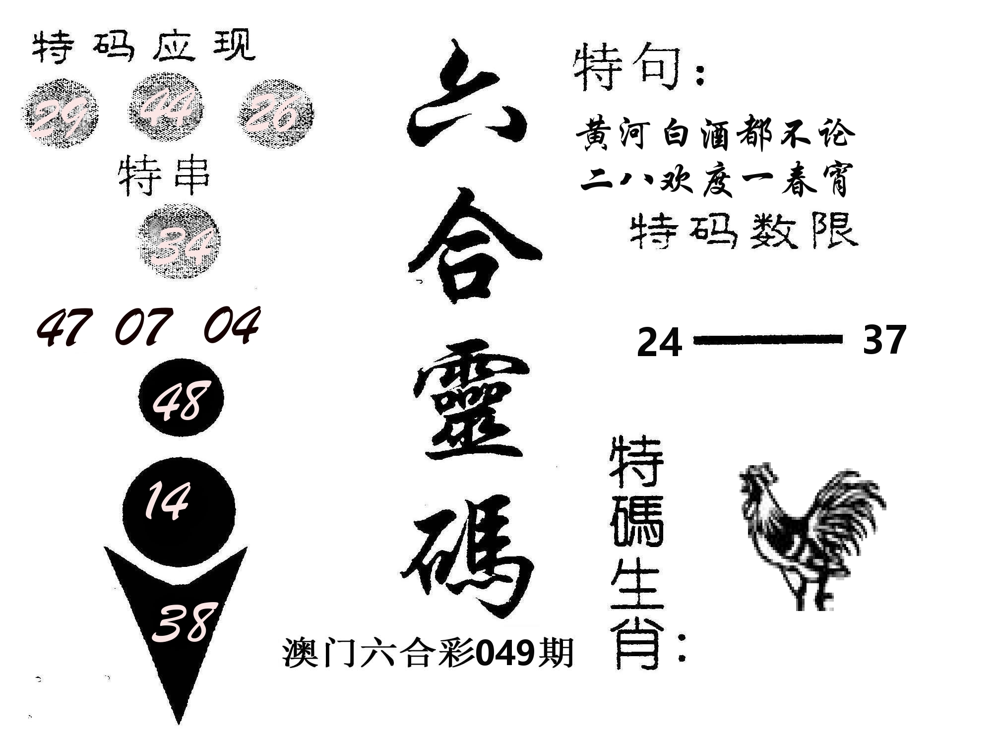 六合灵码 第49期
